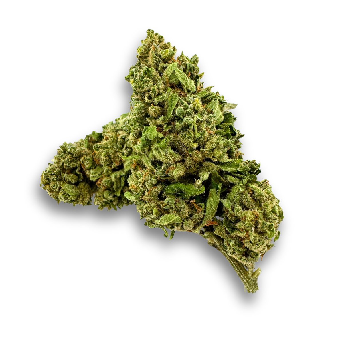 California Blueberry eco pack