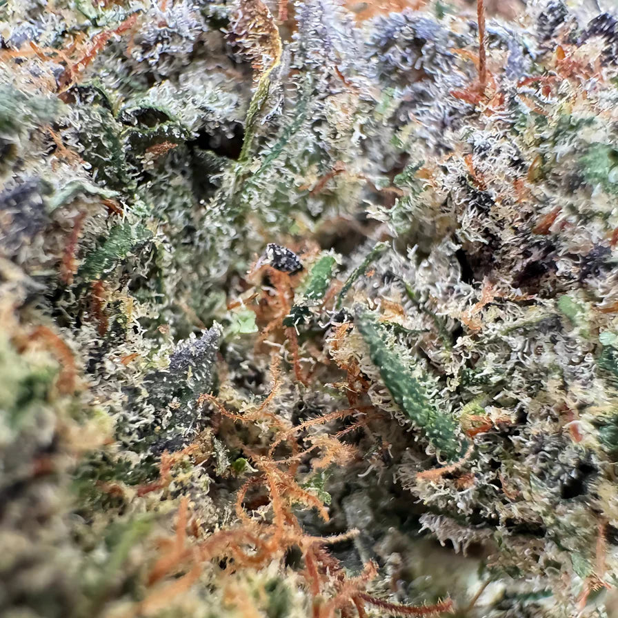 Blueberry Haze Bulkware