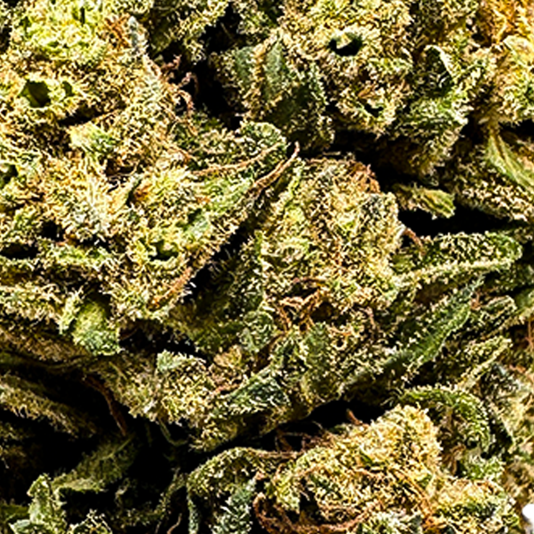 Power Plant Ökopack Blüten Lucky Hemp