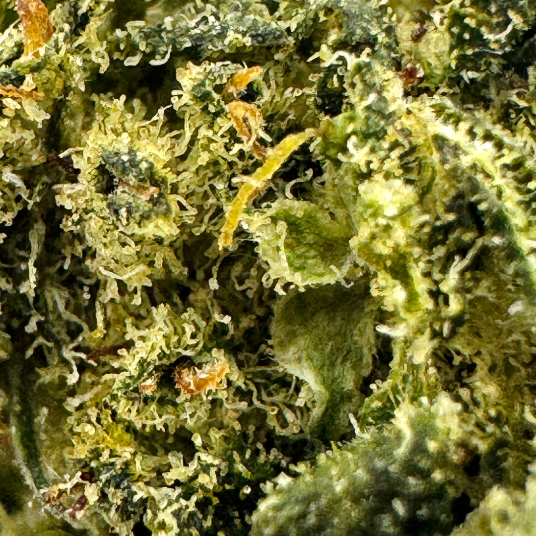 Berry Kush Bulk goods