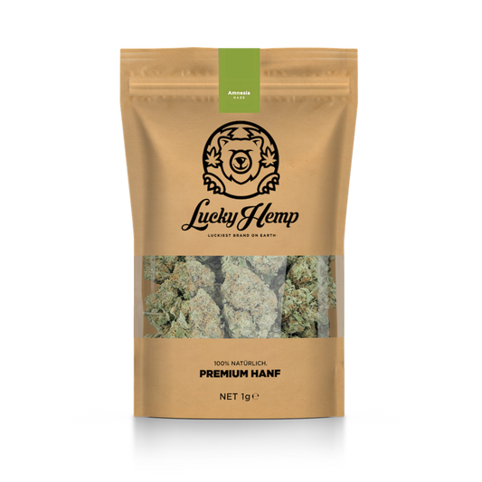 Amnesia Haze mit Sichfenster