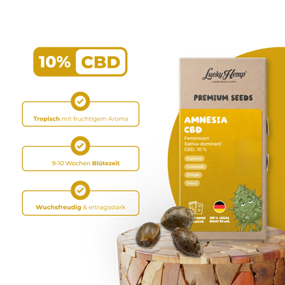 Amnesia CBD Samen Feminisiert