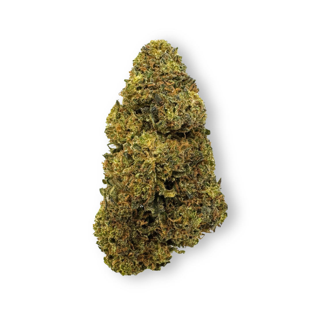 Tropical Haze Bulkware