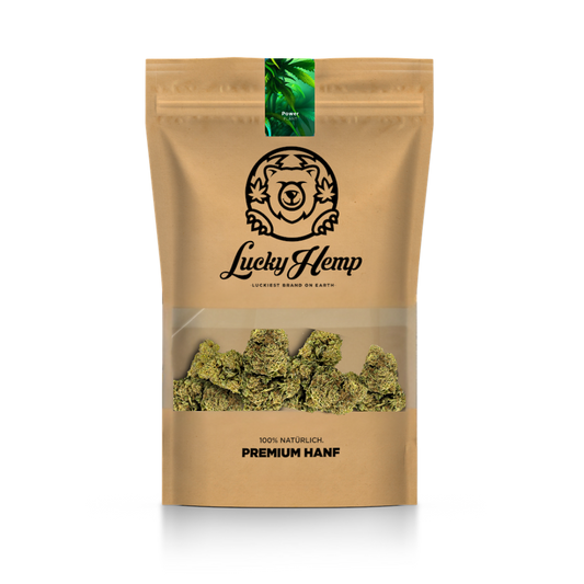 Power Plant mit Sichtfenster