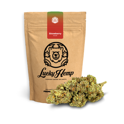 Strawberry Haze Ökopack Blüten Lucky Hemp   