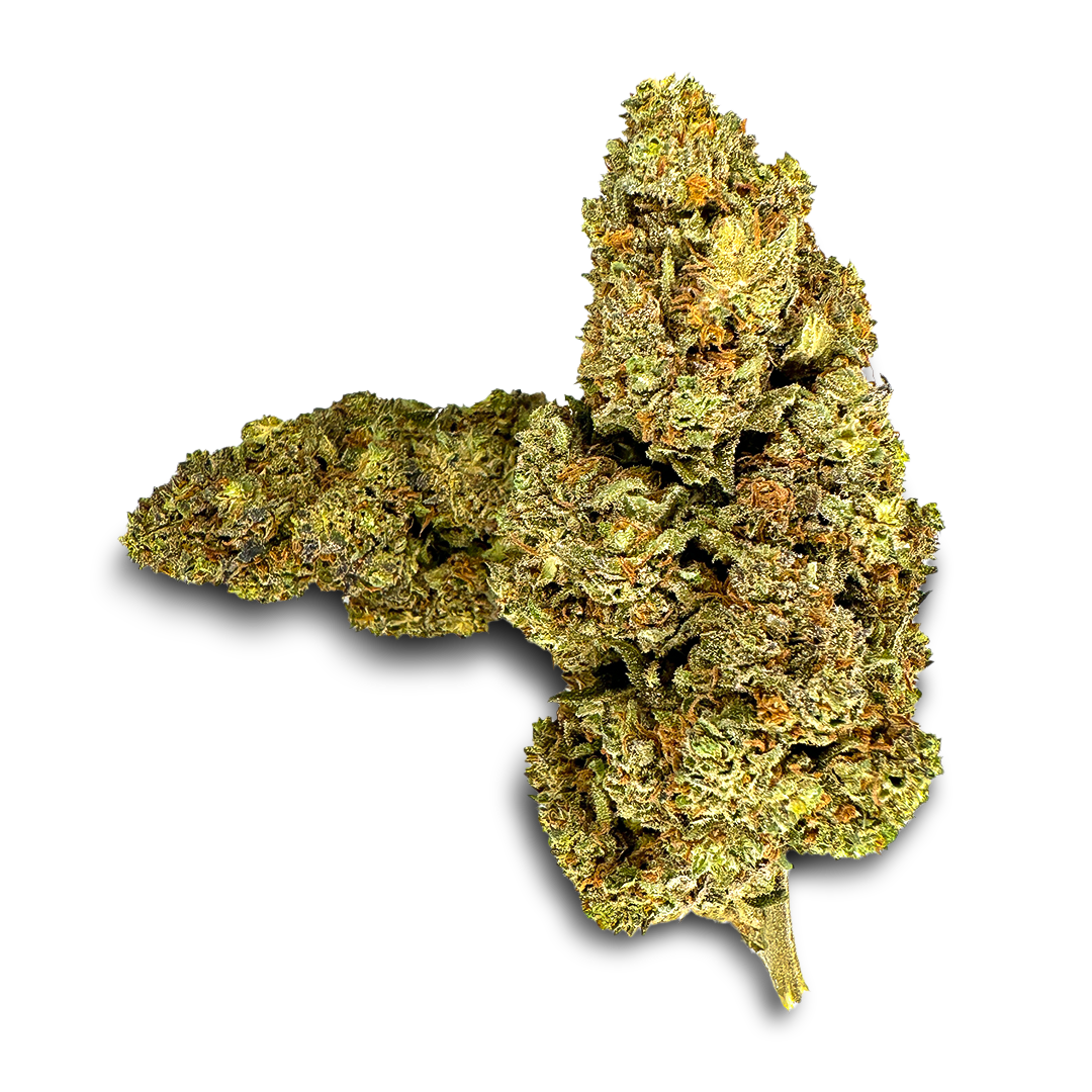 Strawberry Haze Ökopack Blüten Lucky Hemp   