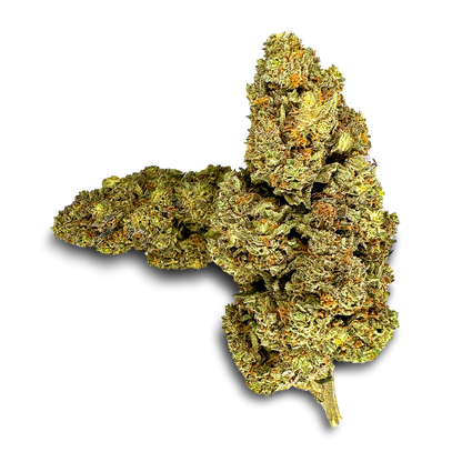 Strawberry Haze Ökopack Blüten Lucky Hemp   