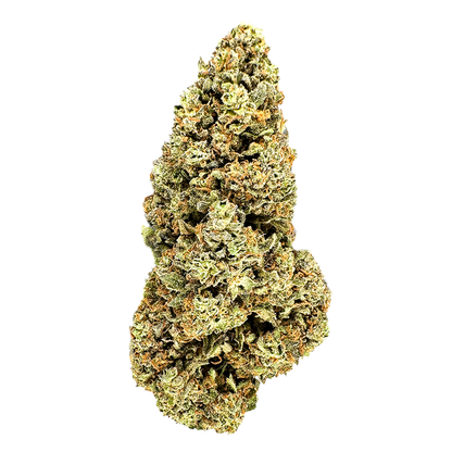 Strawberry Haze Ökopack Blüten Lucky Hemp   