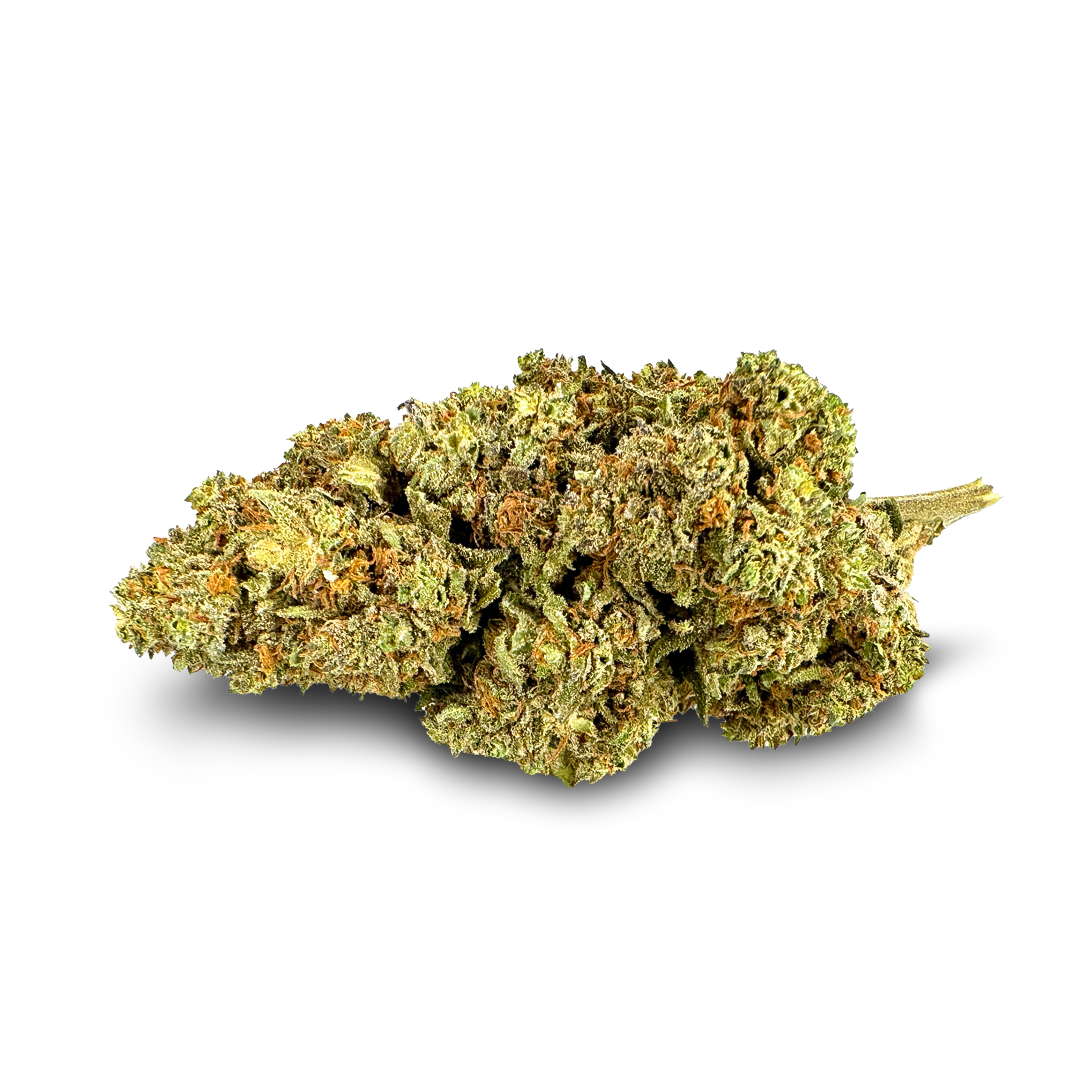 Strawberry Haze Ökopack Blüten Lucky Hemp   