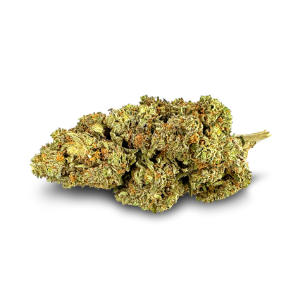 Strawberry Haze Ökopack Blüten Lucky Hemp   