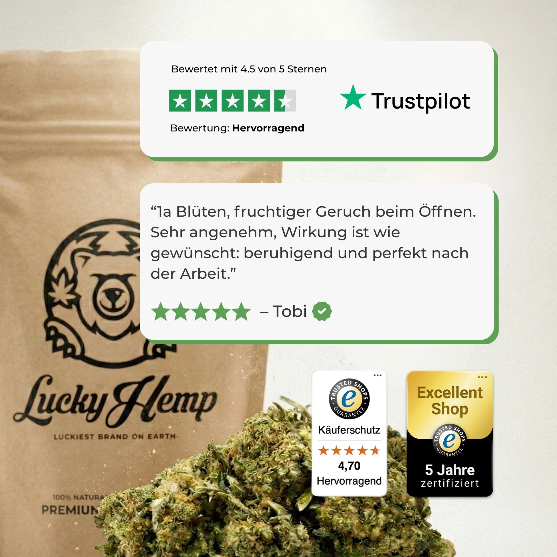Purple Punch Ökopack Blüten Lucky Hemp