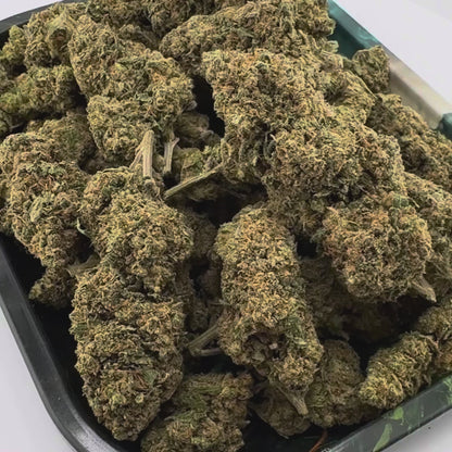 Gorilla Glue Bulkware