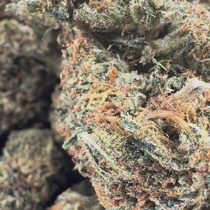 Amnesia Cheese Bulkware